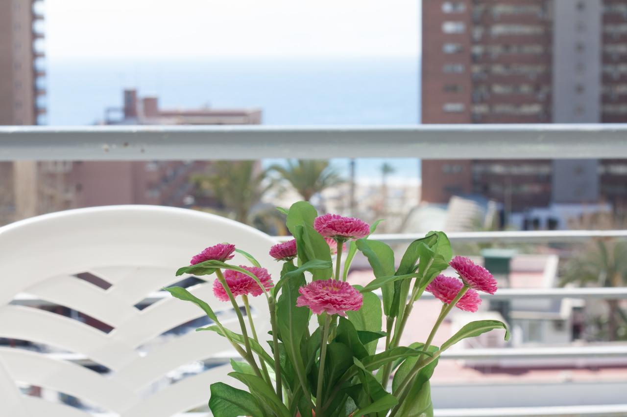 Apartamentos Niza Benidorm Luaran gambar